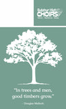 SHS TBB SAGE GREEN LONG SLEEVE 2025/2026
